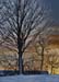 Sun Setting 1629