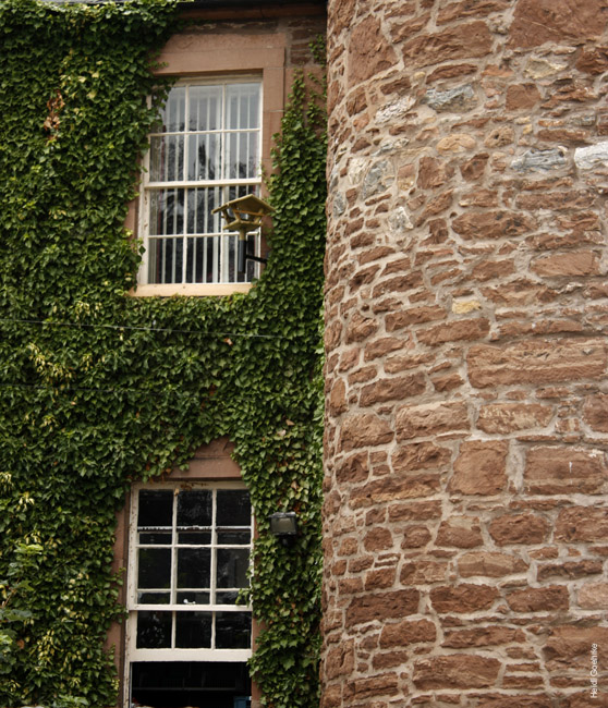 Black Isle IV
