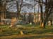 Balnuaran of Clava 0014 (1)