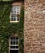 Black Isle IV